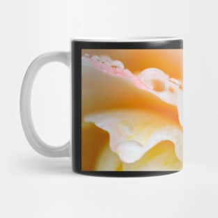 Orange magic Mug